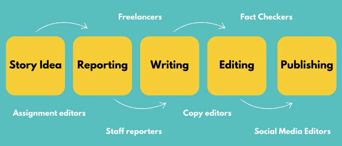 Flow chart showing how preprints factor into each stage of news production