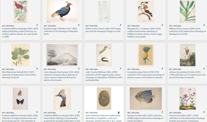 A screen shot taken from the Library and Archives Digitised Collections page, showing various collections that are viewable online.