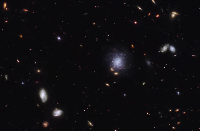 Bright galaxies and other light sources in various sizes and shapes are scattered across a black swath of space: small points, hazy elliptical-like smudges with halos, and spiral-shaped blobs. The objects vary in colour: white, blue-white, yellow-white, and orange-red. Toward the centre right is a blue-white spiral galaxy seen face-on that is larger than the other light sources in the image.