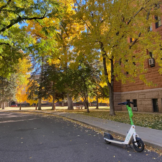 Fall colors on DU's Denver Campus featuring a Lime scooter in the foreground.