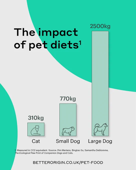A chart showing the impact of an average pet measured in CO2e, with cat = 310kg per year, a small dog = 770kg, and a large dog = 2500kg.