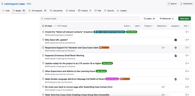 Screenshot of Ruby for Good's Github page with open CASA issues. 