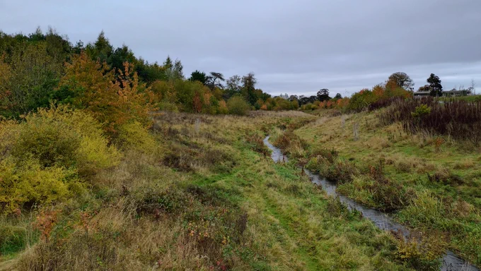 Riparian planting along the re-meandered Niddrie Burn in Edinburgh, as part of the Pentlands to Portobello greening project. Image shows mature and newly planted trees in autumn leaf, beside a small burn.