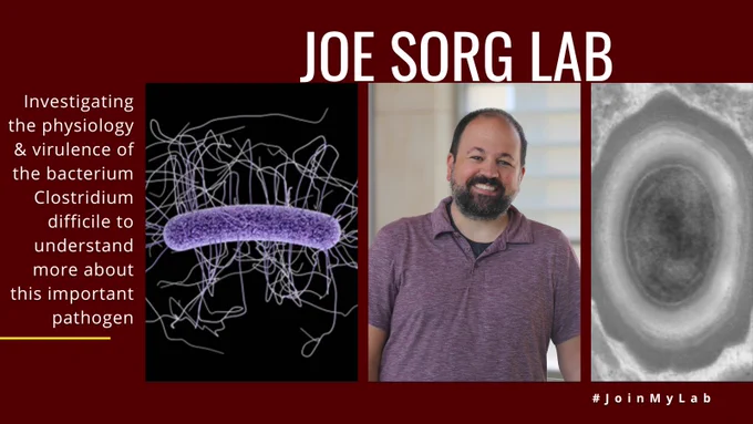 Joe Sorg Lab: Investigating the physiology & virulence of the bacterium Clostridium difficile to understand more about this important pathogen