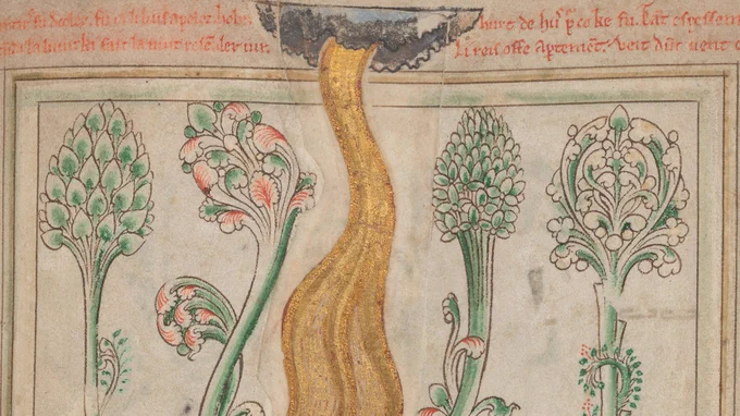 Botanical details from manuscript with reference IE TCD MS 177 folio 57 recto.
