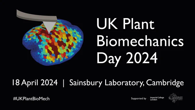 UK Plant Biomechanics Day promotional image featuring image of segmented Marchantia gemma with graphic of AFM cantilever. Text: Bringing together the UK plant mechanics and mechanobiology community. 18 April 2024. Sainsbury Laboratory, Cambridge. #UKPlantBioMech Supported by Sainsbury Laboratory Cambridge University and Imperial College London