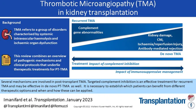 Visual Abstract for the article entitled TMA in Kidney Transplantation