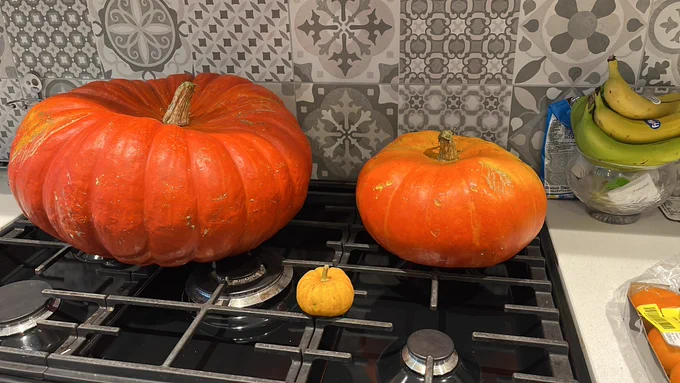 Small, medium and large pumpkins
