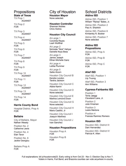 Page of voting recommendations for the Houston area 