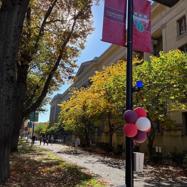  A row of trees with green and yellow leaves line a cement path in front of Langdell Hall. Balloons and Harvard Law School banners are in the foreground. 