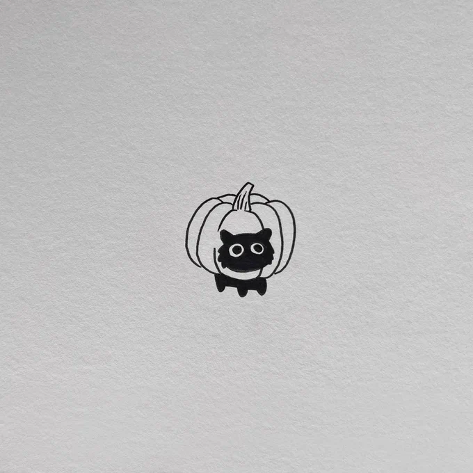 a simple drawing made with black pen on paper of a black cat wearing a pumpkin in its head