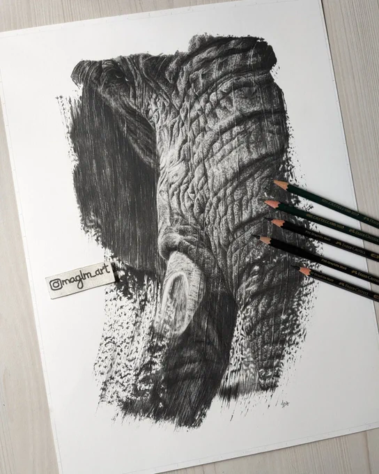 Latest drawing by artist Magali Lapeyre-Mirande 