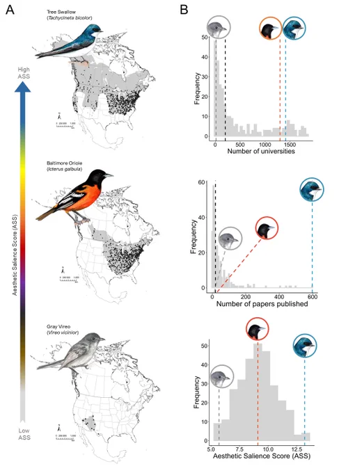 Figure 1 from Fischer et al preprint