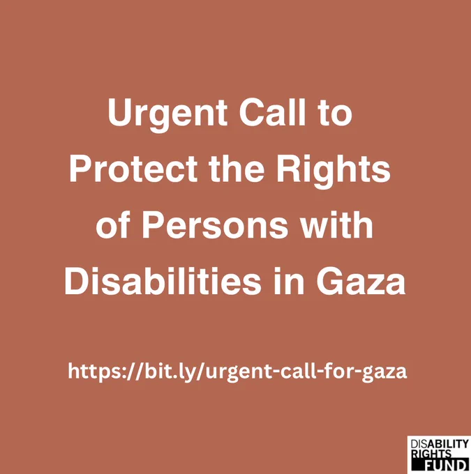 Brown graphic with text: Urgent call to protect the rights of persons with disabilities in Gaza.