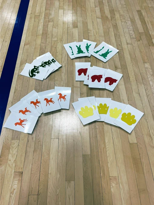 A variety of tactile cards in groups; paw print, horse, bunny, bear, and lizard used for different PE activities.