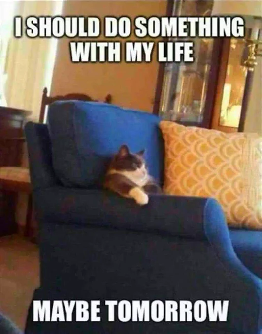 MEME: A cat sitting on a couch like a person, one arm on the armrest. “I should do something with my life…. Maybe tomorrow”