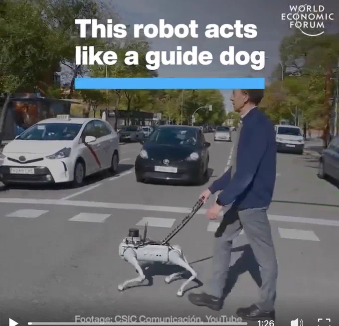 The photo shows a blind man walk across the street with a guide "dog" robot, a quadruped about the size of a small retriever. The text on th image says "The robot acts like a guide dog."  The image is credited to the World Economic Forum.