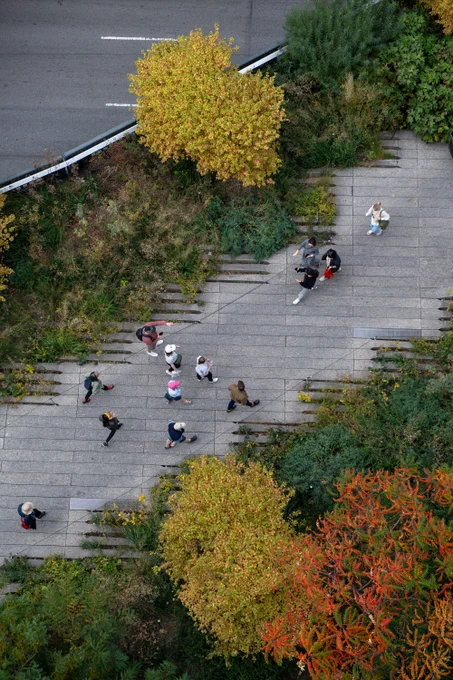 An aerial image of people walking along the High Line lined with yellow and orange trees.