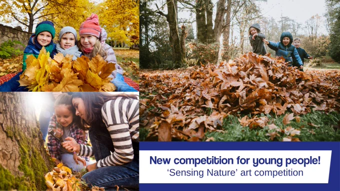 Three photos of children out interacting with nature in Autumn. The writing reads: new competition for young people, 'sensing nature' art competition