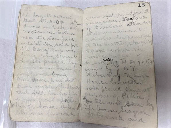 Two of the pages describing Davison's death.