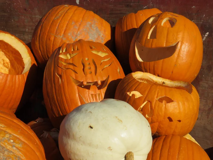 pumpkins