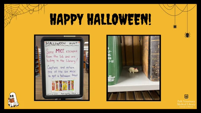 Post says Happy Halloween with graphics of cobwebs and a reading ghosts. Left picture is of a sign in the library for a halloween mouse hunt, stating if someone finds one of the six hidden mice, they will get a treat. The right photo is of a squishy toy mouse hidden between two books. 