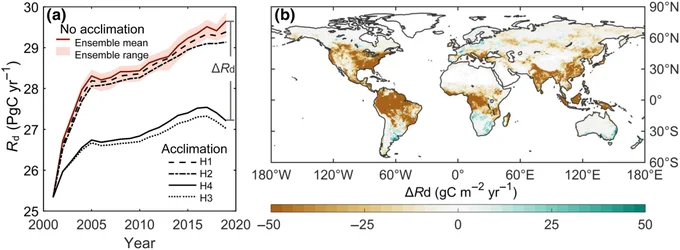 Impact of acclimation on global leaf respiration from 2001 to 2019. 