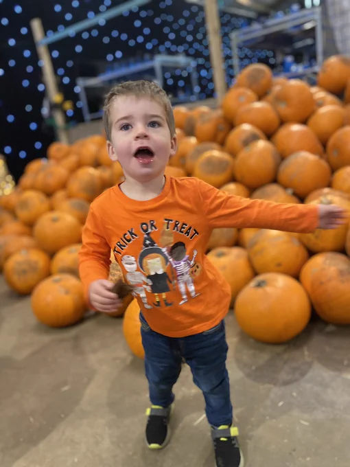Oscar and his trick or treat T-shirt, with lots of pumpkins in the background