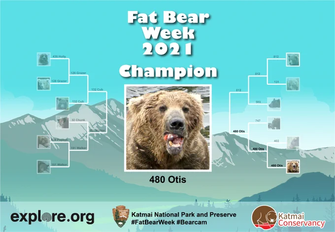 Fat Bear Week 2021 Champion bracket featuring 480 Otis