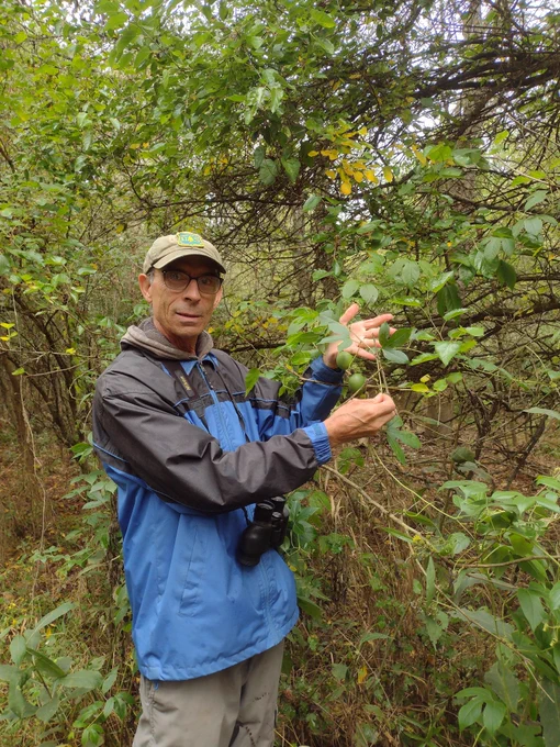 Dr. Conover posing with a passion vine