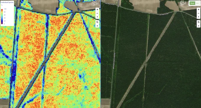 Young Loblolly pine plantation – Near Greenville, North Carolina (image on left shows GSI analysis of % of individual species for each 10m pixel – filtered by Loblolly pine in this example, image on the right RGB satellite).
