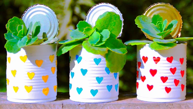 Recycled cans and plants
