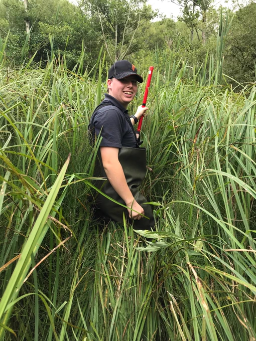 A full days surveying with Shropshire Town Council and volunteers from Shropshire Wildlife Trust took place under challenging conditions. The first phase was to survey the flora and the invertebrate populations. 