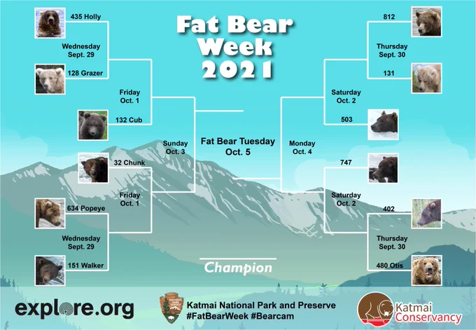 Fat Bear Week 2021 Bracket with 12 bear photos. Match 1: 435 vs. 128. Match 2: 151 vs. 634. Match 3: 812 vs. 131. Match 4: 480 vs. 402. Match 5: Winner of Match 1 vs. Winner of Fat Bear Junior. Match 6: Winner of Match 2 vs. 32. Match 7: Winner of Match 3 vs. 503. Match 8: Winner of Match 4 vs. 747. Match 8: Finals. 