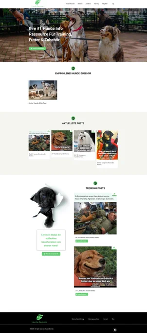 WordPress website developer with Elementor Pro