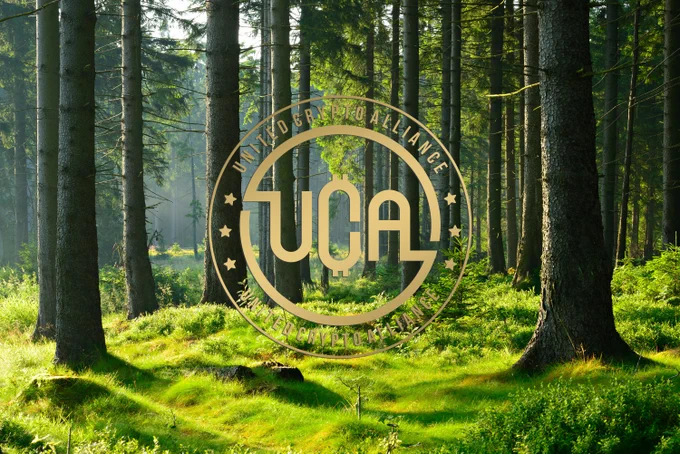 words are followed by action
On 19.10. the first trees for the UCA Coin Forest will be planted.
We will create pictures, shoot videos, conduct interviews
And of course we invite up to 30 UCA holders to be there. 
The newsletter will follow!