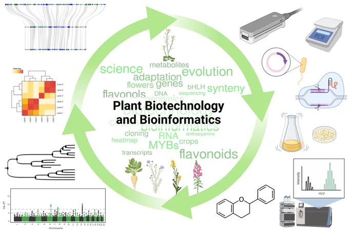 Plant Biotechnology and Bioinformatics (@PuckerLab): https://www.tu-braunschweig.de/en/ifp/pbb #PlantSci #Genomics #Bioinformatics Selection of methods that will be used to unlock the secrets of plant specialized metabolism: @nanopore sequencing, cloning, HPLC-MS, mapping-by-sequencing, phylogenetic anaylses, RNA-Seq, and comparative genomics.