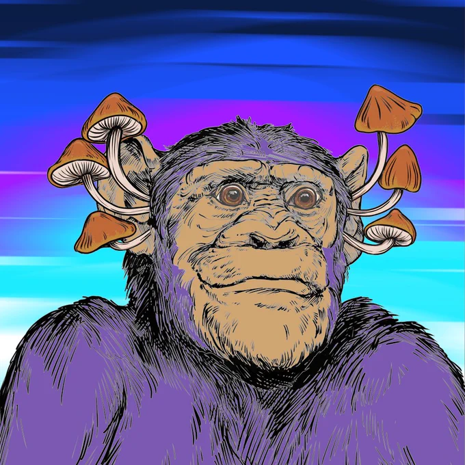 Meet Terence Mckenna Primate. He began his journey to enlightenment as a young chimp who stumbled upon a small patch of mushrooms. hungry, he eagerly devoured the patch. quickly his monkey brain vibrated into a higher state of being. he became one with the jungle and all of the universe. He realized that all things come from within and that knowing yourself is the key to life. Terence spends his time now amongst the trees in quiet meditation. He has developed the ability to fruit mushrooms from his ears. He lives in complete peace surviving off the mana grown from his ear mycelium. 