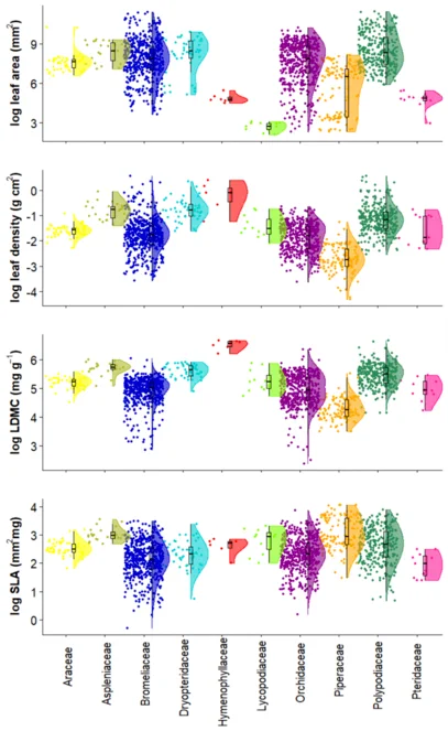Trait values of vascular epiphytes by key families