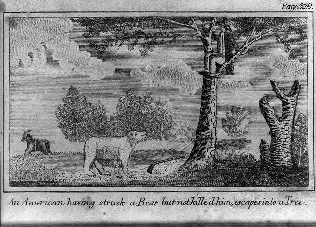 line drawing of man in tree with dog on ground