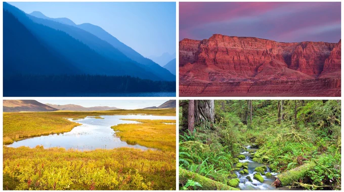  A multi-colored grid photo of four separate photos representing different region across the United States: Forest, mountains, plains, and rocky mesa desert.