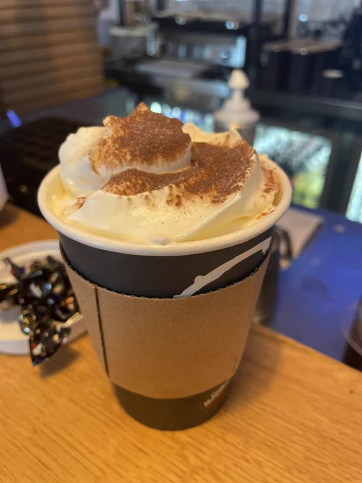 Hot chocolate in paper cup with whipped cream and a dusting of chocolate on top