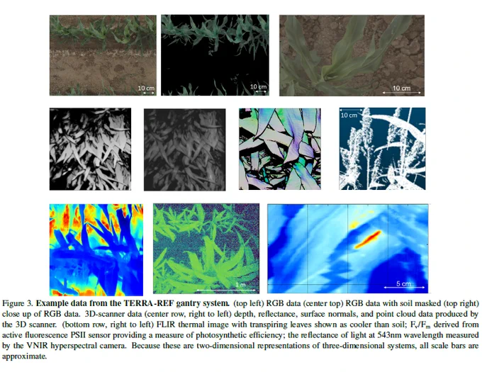 Figure 3. Example data from the TERRA-REF gantry system. (top left) RGB data (center top) RGB data with soil masked (top right)
close up of RGB data. 3D-scanner data (center row, right to left) depth, reflectance, surface normals, and point cloud data produced by
the 3D scanner. (bottom row, right to left) FLIR thermal image with transpiring leaves shown as cooler than soil; Fv/Fm derived from
active fluorescence PSII sensor providing a measure of photosynthetic efficiency; the reflectance of light at 543nm wavelength measured
by the VNIR hyperspectral camera. Because these are two-dimensional representations of three-dimensional systems, all scale bars are
approximate.