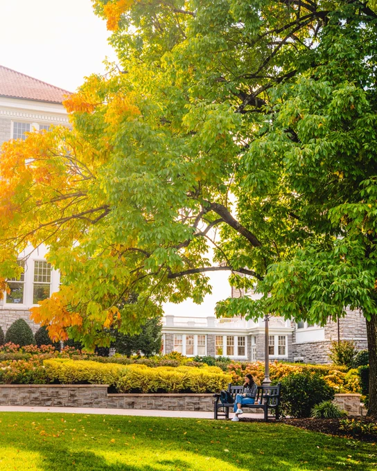 A student sits on a bench on the Quad under a tree that is starting to change colors in fall.