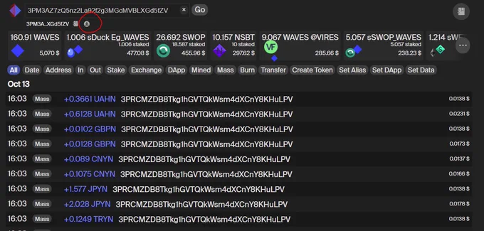 Via the download button you can save the history of the address. If you select filters, e.g. only outgoing transactions, the downloaded csv will only include outgoing transactions.