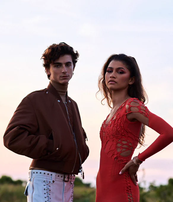 Timothée, on the left, and Zendaya, right, stand outside with a sunset behind them looking at the camera that is looking up at them. He is wearing white studded leather trousers and a brown bomber jacket with his hands in the pockets. She is wearing a long sleeved red dress with holes and tears over it and with her hands on her hips.