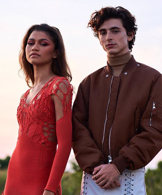 From the same photoshoot. Zendaya is now on the left and Timothée on the right. Her hands are by her side and his hands are clasped in front of him.