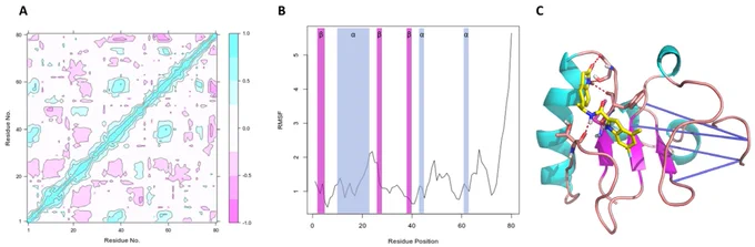 Since many of the currently available antileishmanial treatments exhibit toxicity, low effectiveness, and resistance, search and validation of new therapeutic targets allowing the development of innovative drugs have become a worldwide priority. This work presents a structure-based drug discovery strategy to validate the Lmj_04_BRCT domain as a novel therapeutic target in Leishmania spp. The structure of this domain was explored using homology modeling, virtual screening, and molecular dynamics studies. Candidate compounds were validated in vitro using promastigotes of Leishmania major, L. amazonensis, and L. infantum, as well as primary mouse macrophages infected with L. major. The novel inhibitor CPE2 emerged as the most active of a group of compounds against Leishmania, being able to significantly reduce the viability of promastigotes. CPE2 was also active against the intracellular forms of the parasites and significantly reduced parasite burden in murine macrophages without toxicit