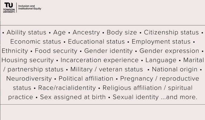 flyer that includes everything that we mean by diversity and the OIIE logo