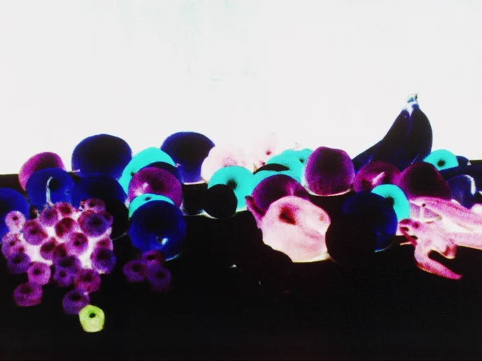 a piece of film showing a table of fruit that has been altered during the photochemical process to reverse the colours